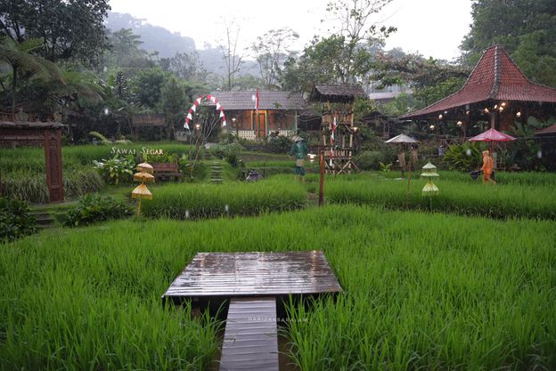 Eatery & Blissful Terrace (Sawah Segar Sentul)